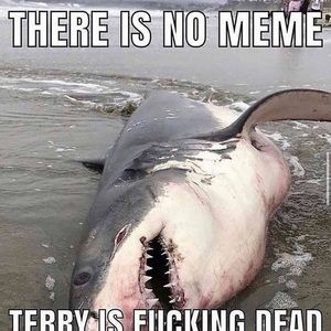 Meet your Posher, Kagan